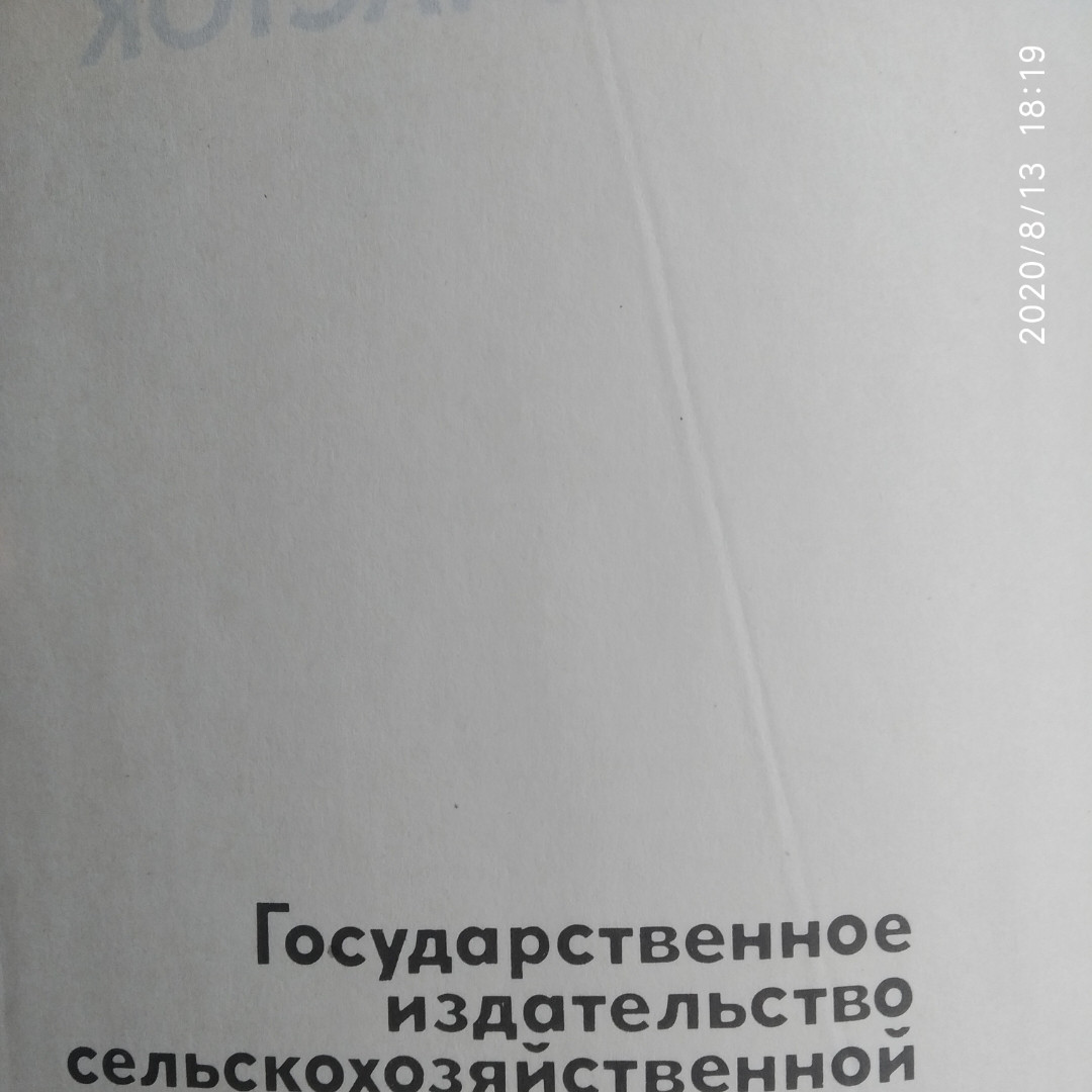 Моє хобі-садовий ділянка - Зображення 2