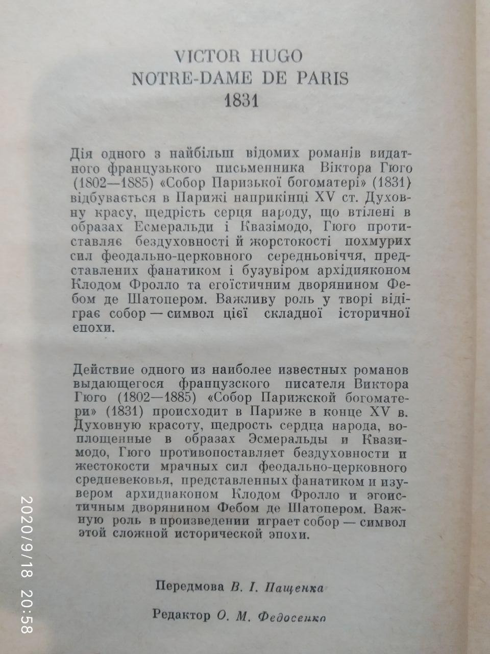 Гюго Віктор. Собор Паризької Богоматері - Зображення 3
