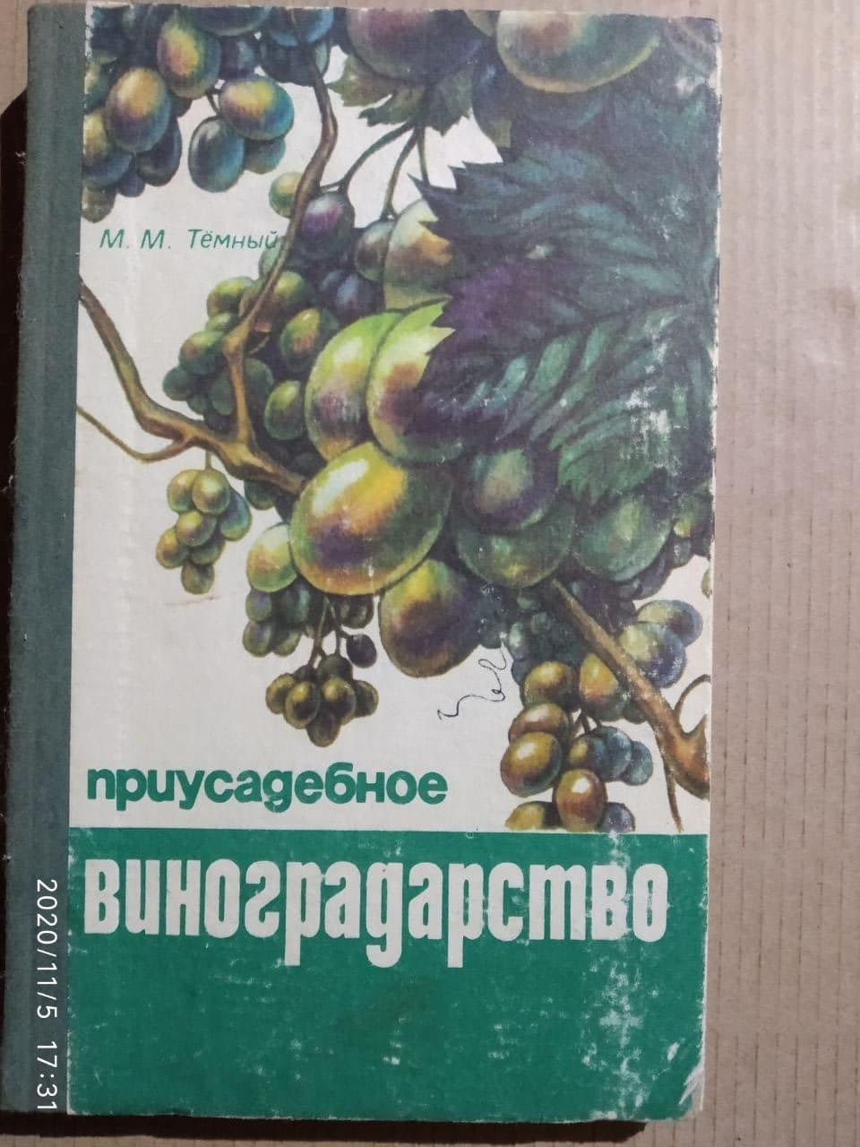 Присадибне виноградарство Темний М. М.