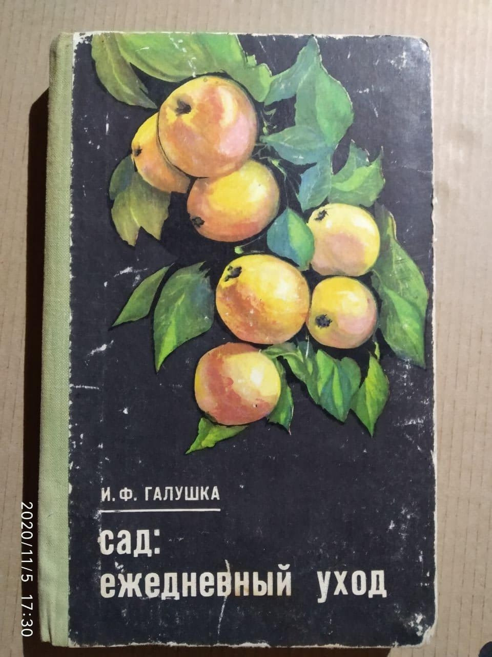 Сад щоденний догляд В. Галушка