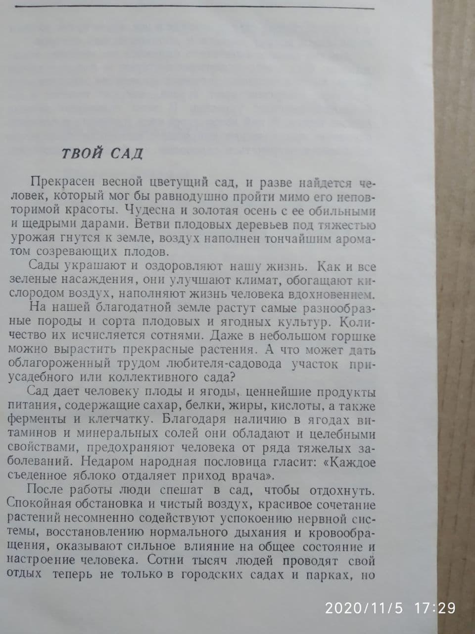 Сад щоденний догляд В. Галушка - Зображення 4
