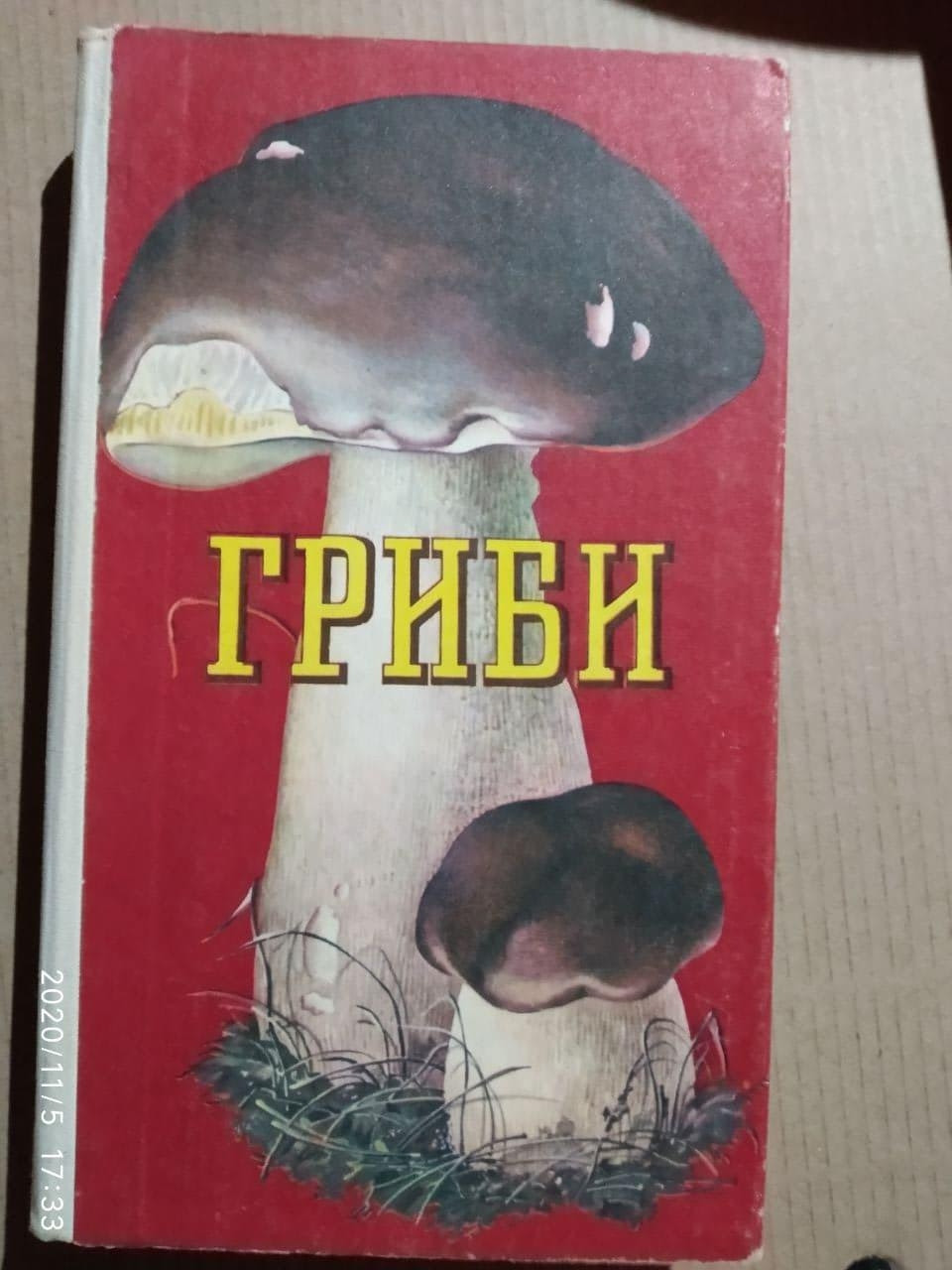Гриби. М. Я. Зерова