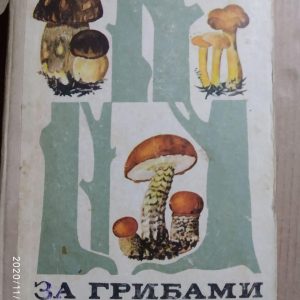 За грибами, Ст. Тойбис