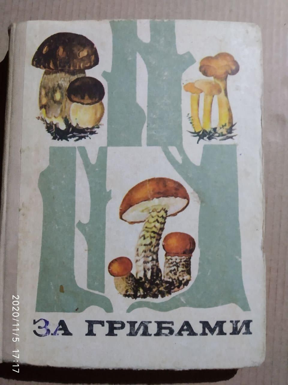 За грибами, В.Тойбис