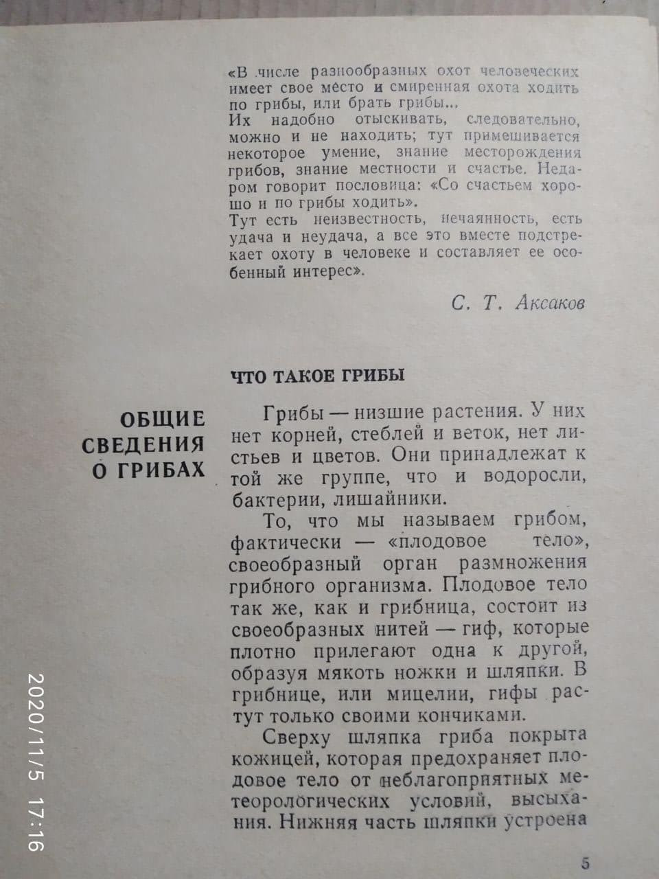 За грибами, В.Тойбис — изображение 3