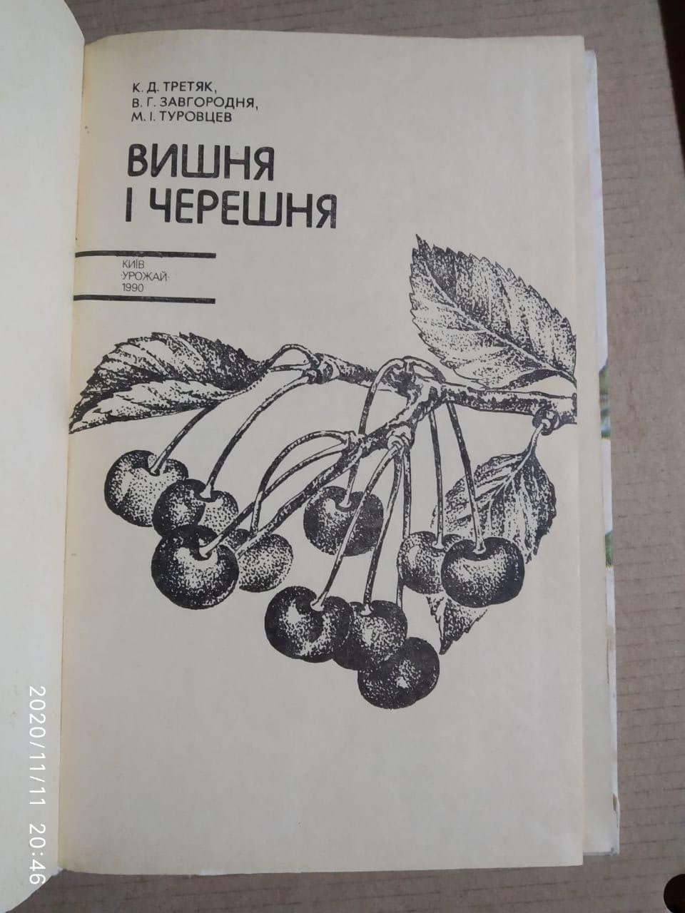 Вишня і черешня. Третяк К. Д. - Зображення 2