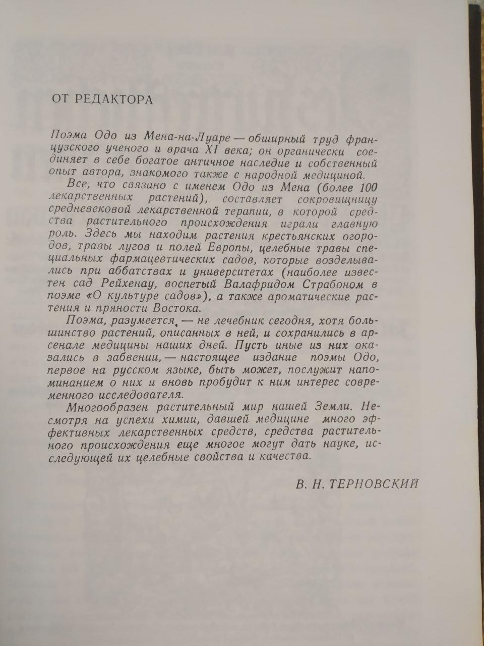 Про властивості трав. Одо з Мена. Мацер Флоридус - Зображення 4