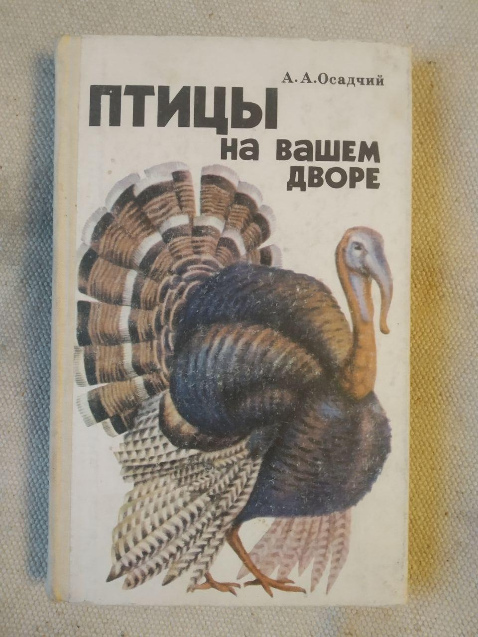 Птахи на вашому подвір'ї. А. А. Осадчий