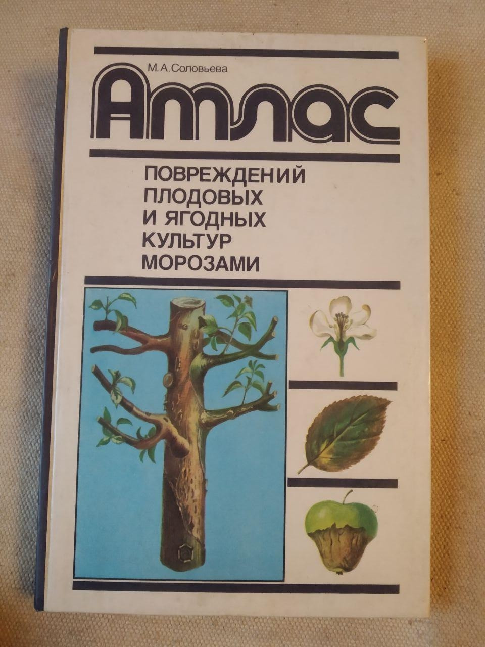 Атлас пошкоджень плодових і ягідних культур морозами. Соловйова М. А.