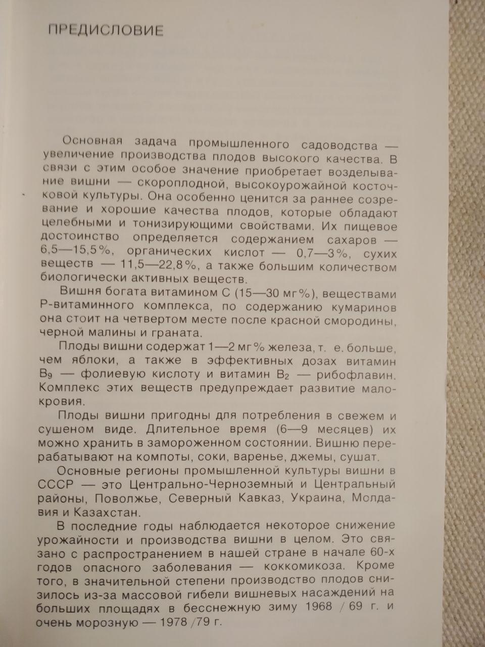 Вишня. А.Ф. Колесникова — изображение 3