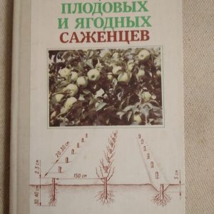 Выращивание плодовых и ягодных саженцев В.Майдебура