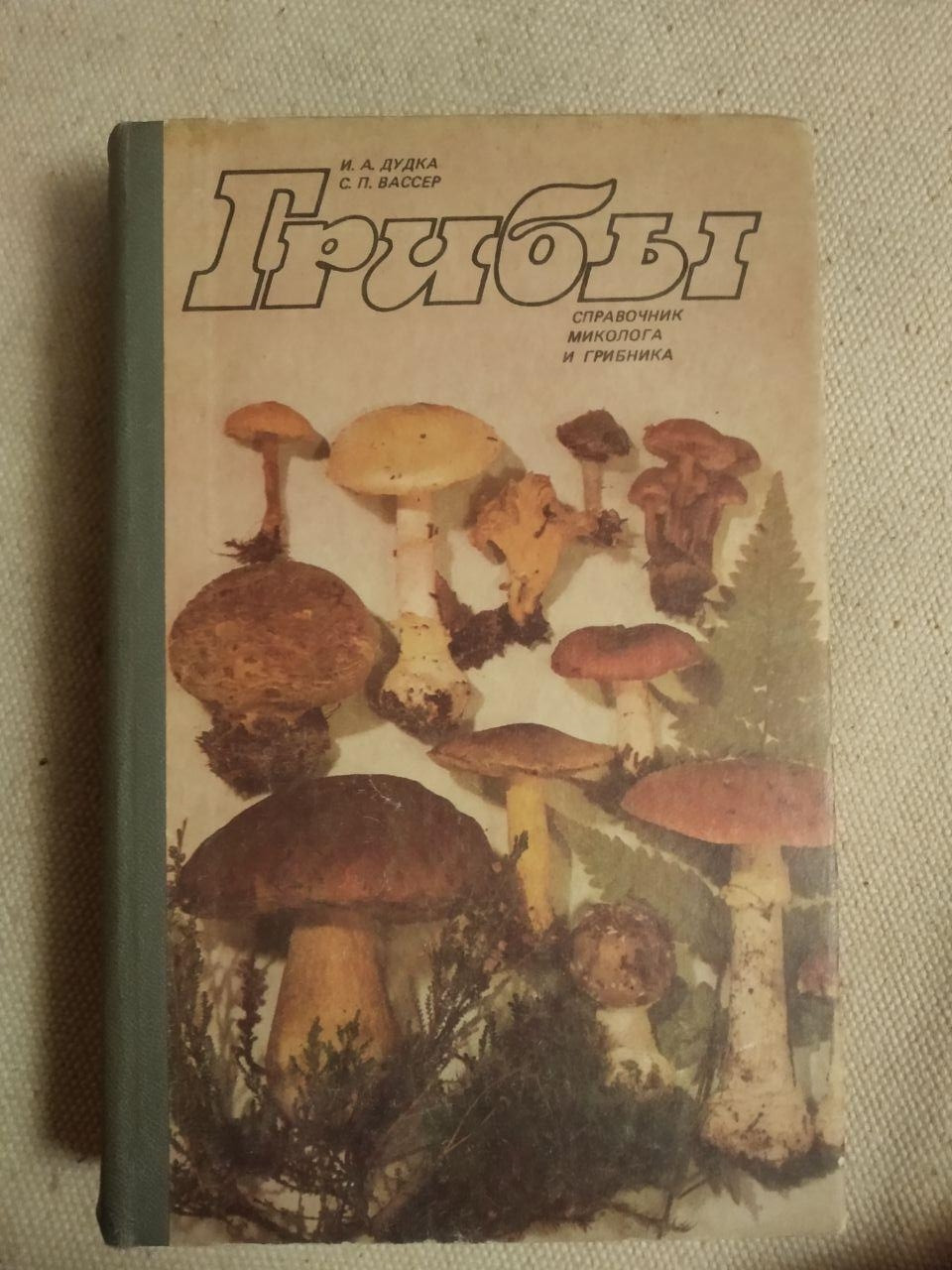 Гриби. Довідник міколога і грибника. Дудка І. А.