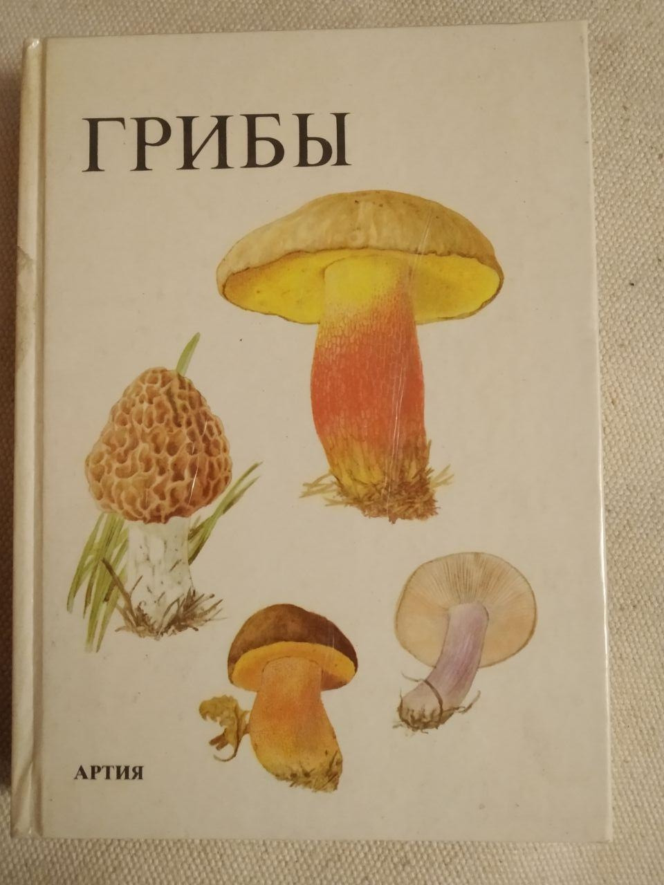 Гриби. Я. Клан