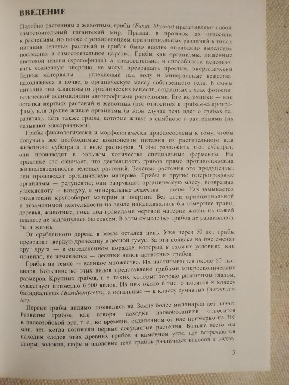 Гриби. Я. Клан - Зображення 3