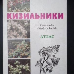 Кизильники. Г.Т.Гревцова