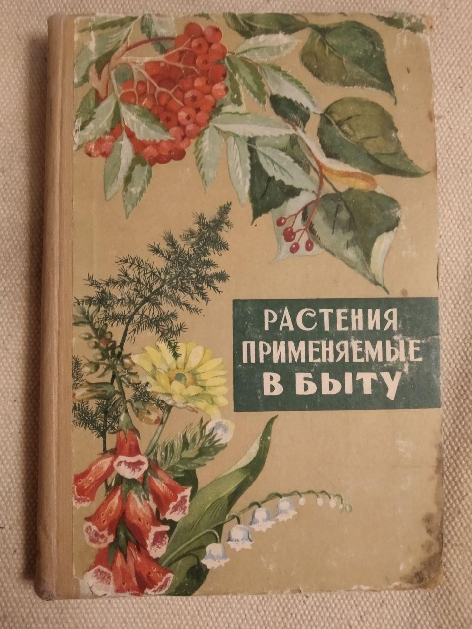 Рослини застосовуються в побуті. Д. В. Горюнов
