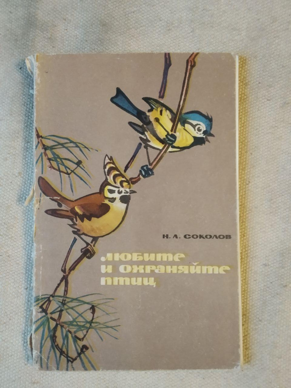 Любите и охраняйте птиц. Н.Л.Соколов
