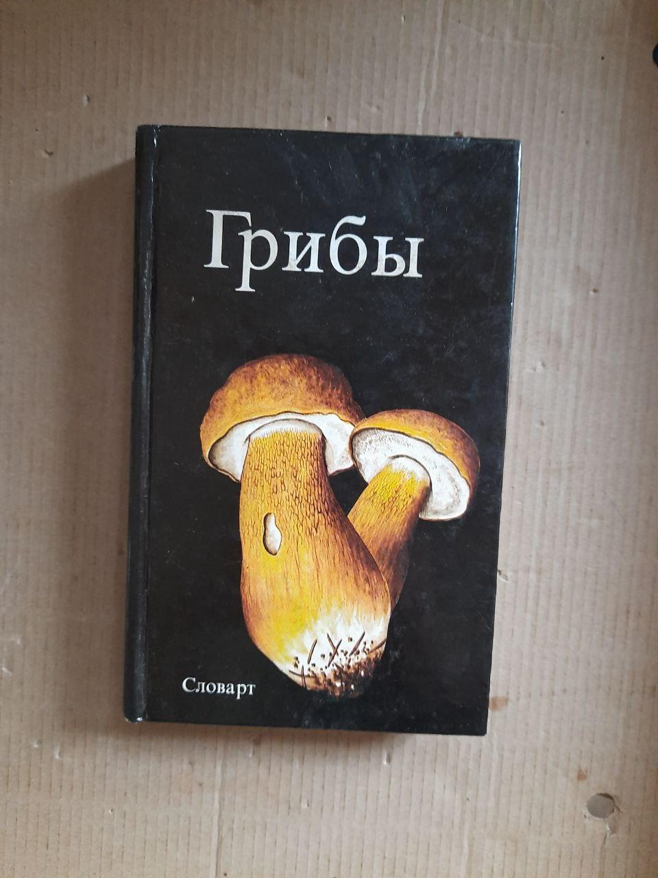 Гриби. Аурел Дермек