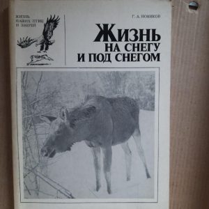 Жизнь на снегу и под снегом. Г. А. Новиков. 1981 год