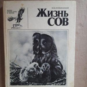 Життя сов. Ю. Б. Пукінський. 1977 рік