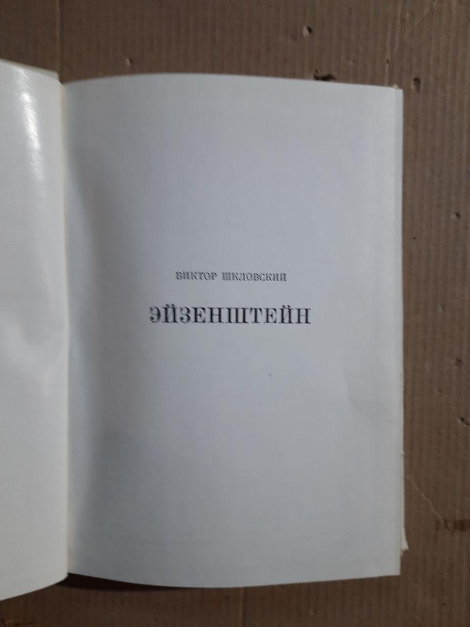 Эйзенштейн. Виктор Шкловский — изображение 2