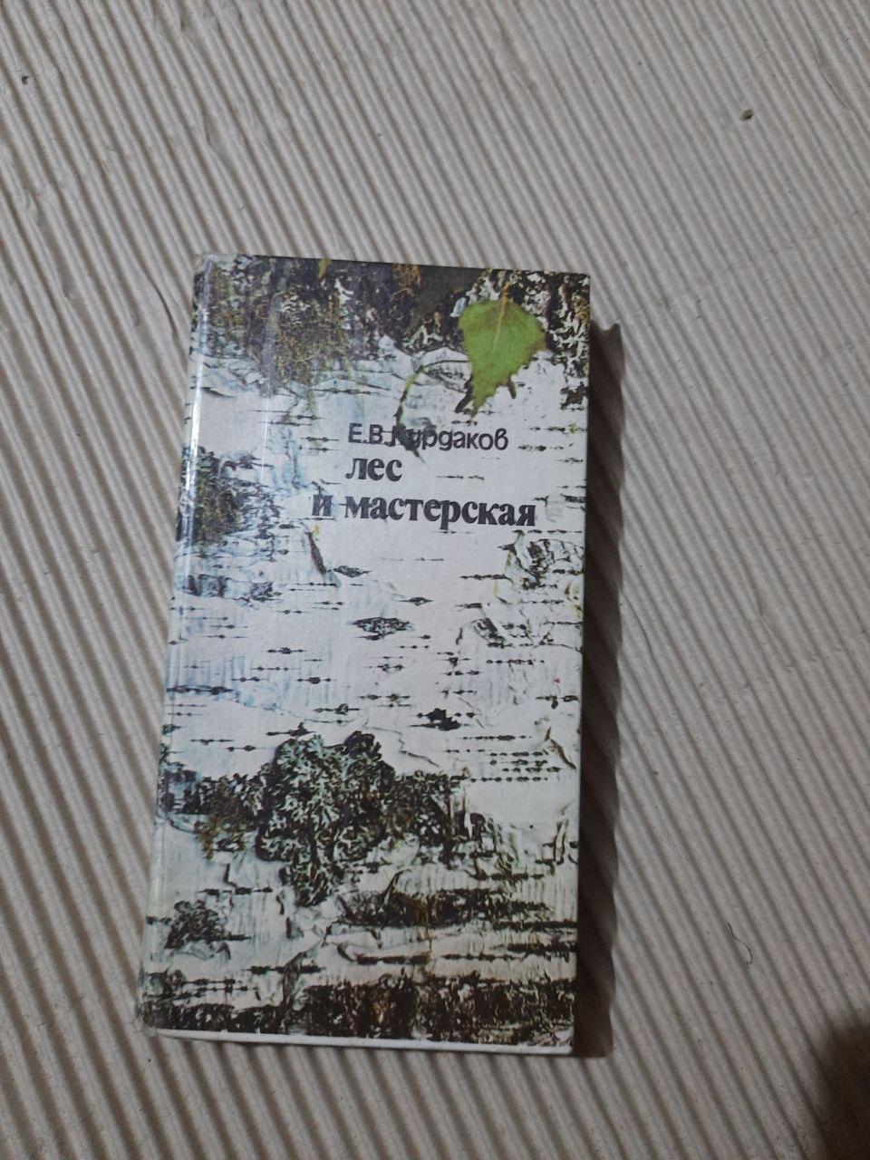 Е. В. Курдаков. Ліс і майстерня. 1986