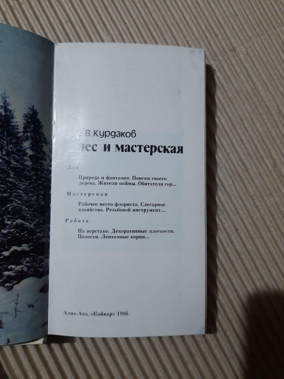 Е. В. Курдаков. Ліс і майстерня. 1986 - Зображення 2