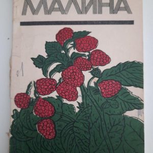 Малина. І. В. Козаков. В. В. Кічина. 1980 рік