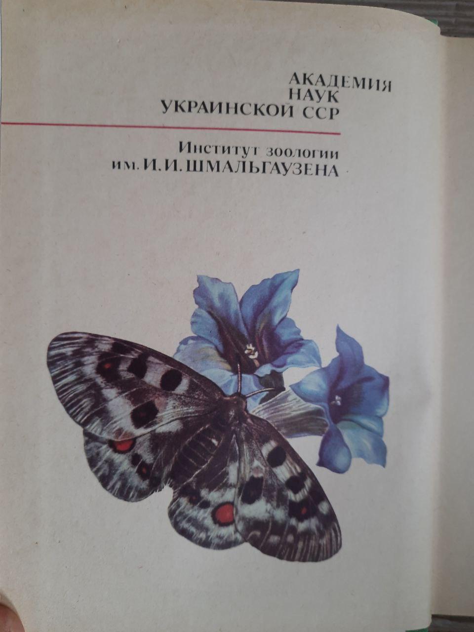 Рідкісні та зникаючі рослини та тварини України. К. М. Ситнік. Ю. Р. Шиля-Сосонко. В.А. Топачевський. В. Д. Романенко - Зображення 3