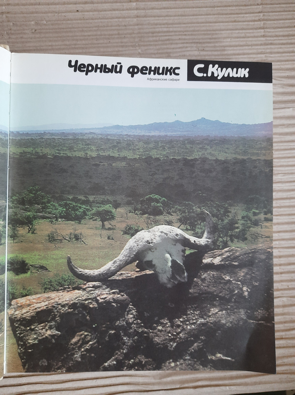 Чорний Фенікс. С. Ф. Кулік. 1988