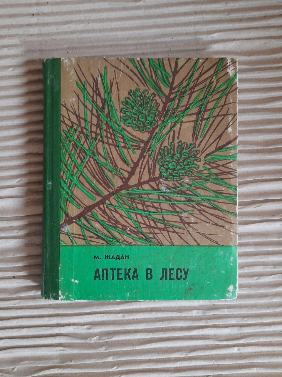Аптека в лісі. М. Жадан. 1975