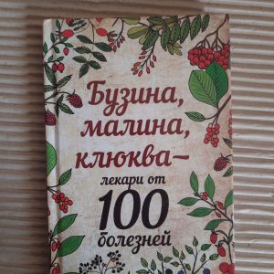 Бузина, малина, журавлина - цілителі від 100 захворювань. Марина Романова.