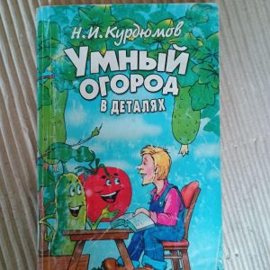Розумний город у деталях. Н. І. Курдюмов. 2005
