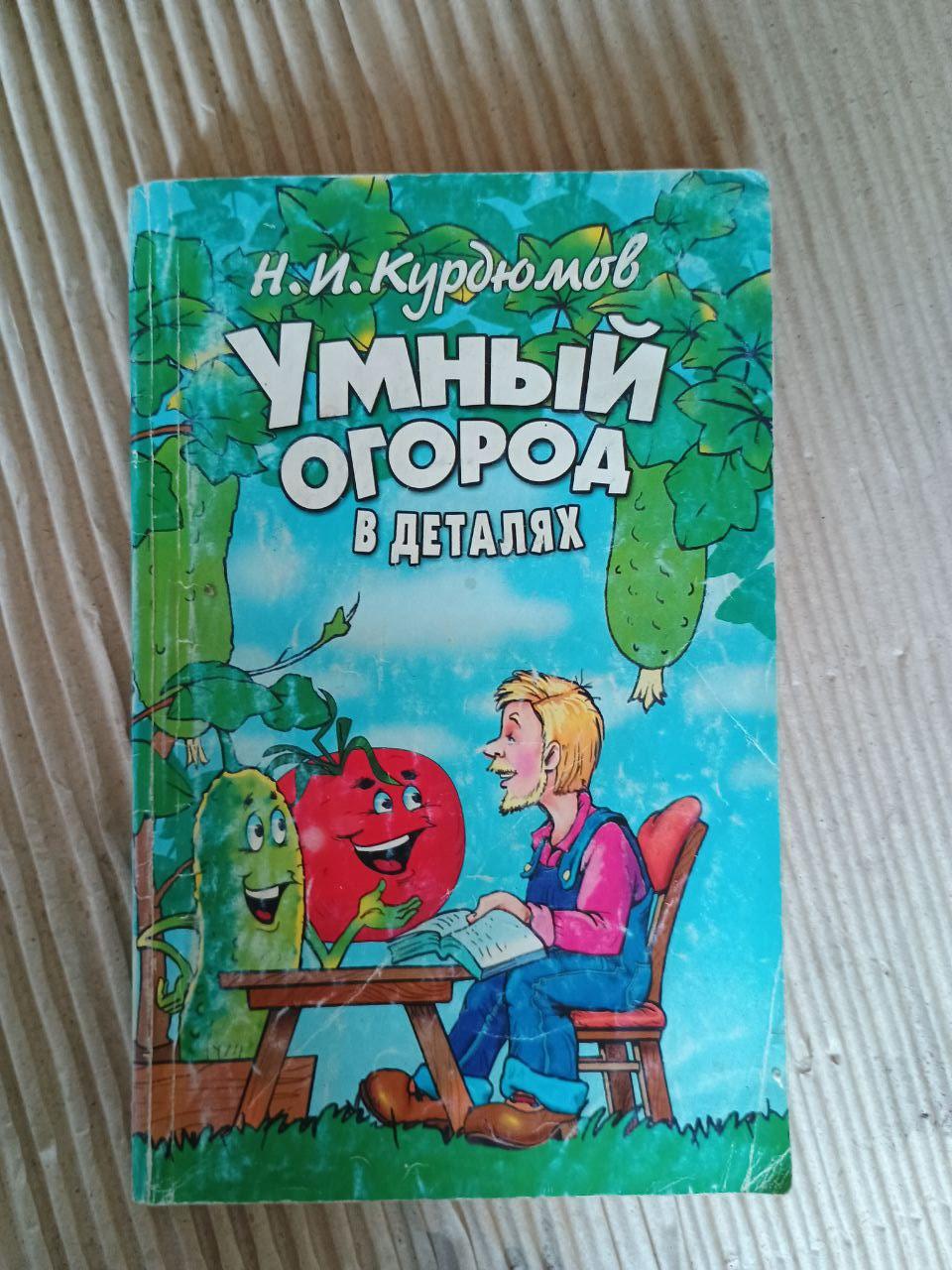 Розумний город у деталях. Н. І. Курдюмов. 2005