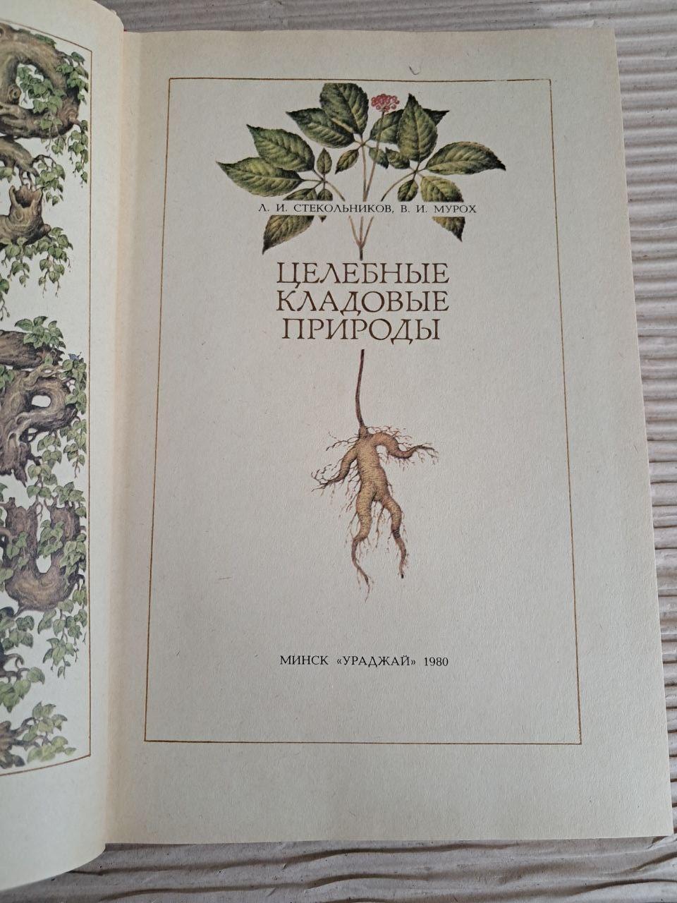 Цілющі комори природи. Л. І. Стекольников. В. І. Мурох. 1980 - Зображення 2
