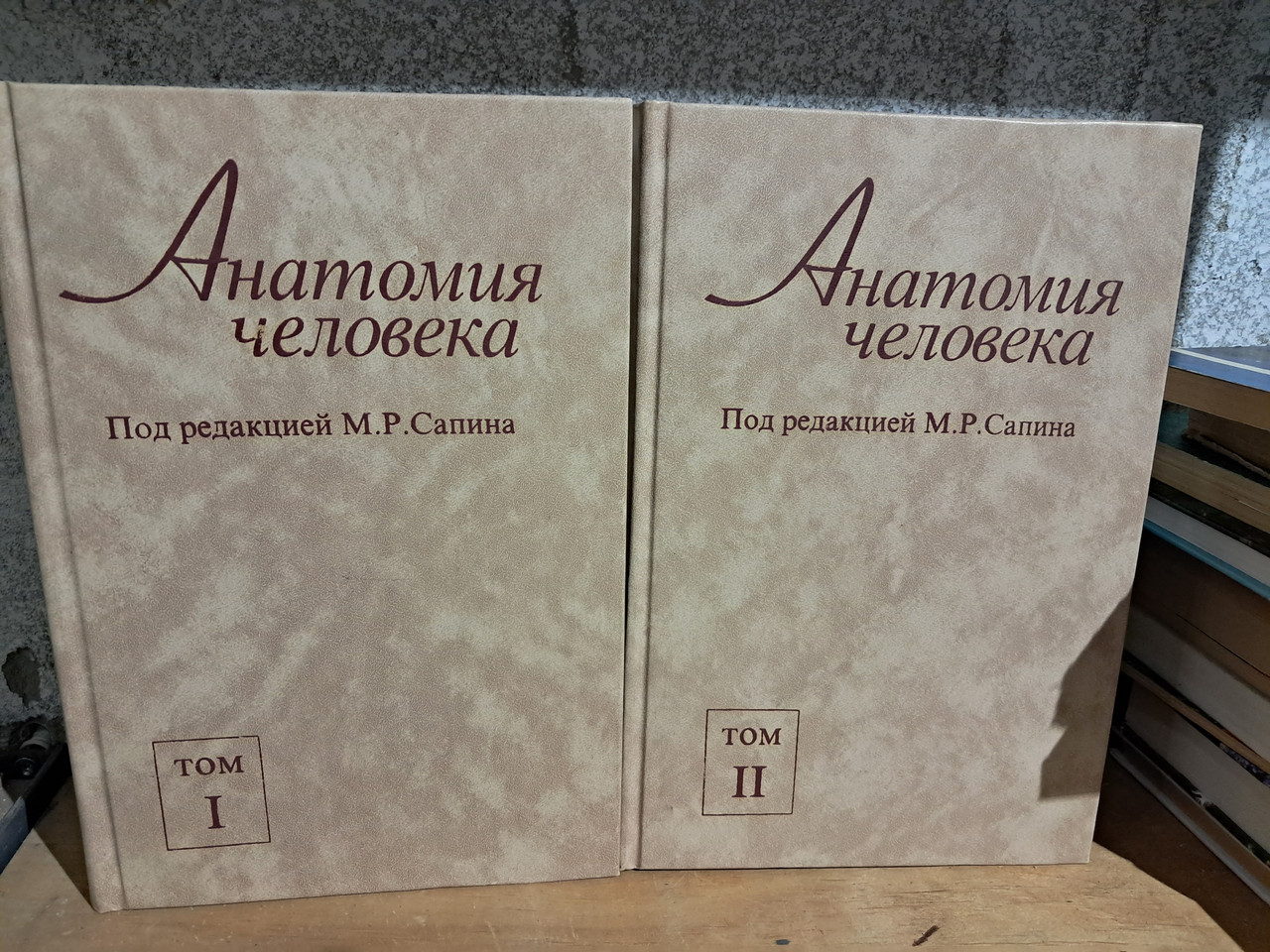 Анатомія людини. У 2 томах. Сапин. Е. І. Борзяк. В. Я. Бочарів. Л. І. Волкова. 1986 рік