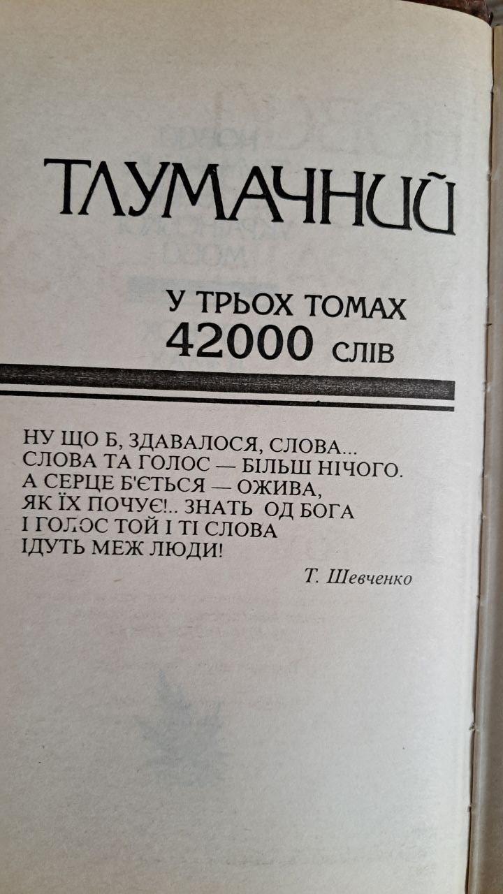 Новий тлумачний словник української мови. 42000 слів. В 3-х томах - Зображення 7