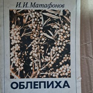 Обліпиха. І. І. Матафонов