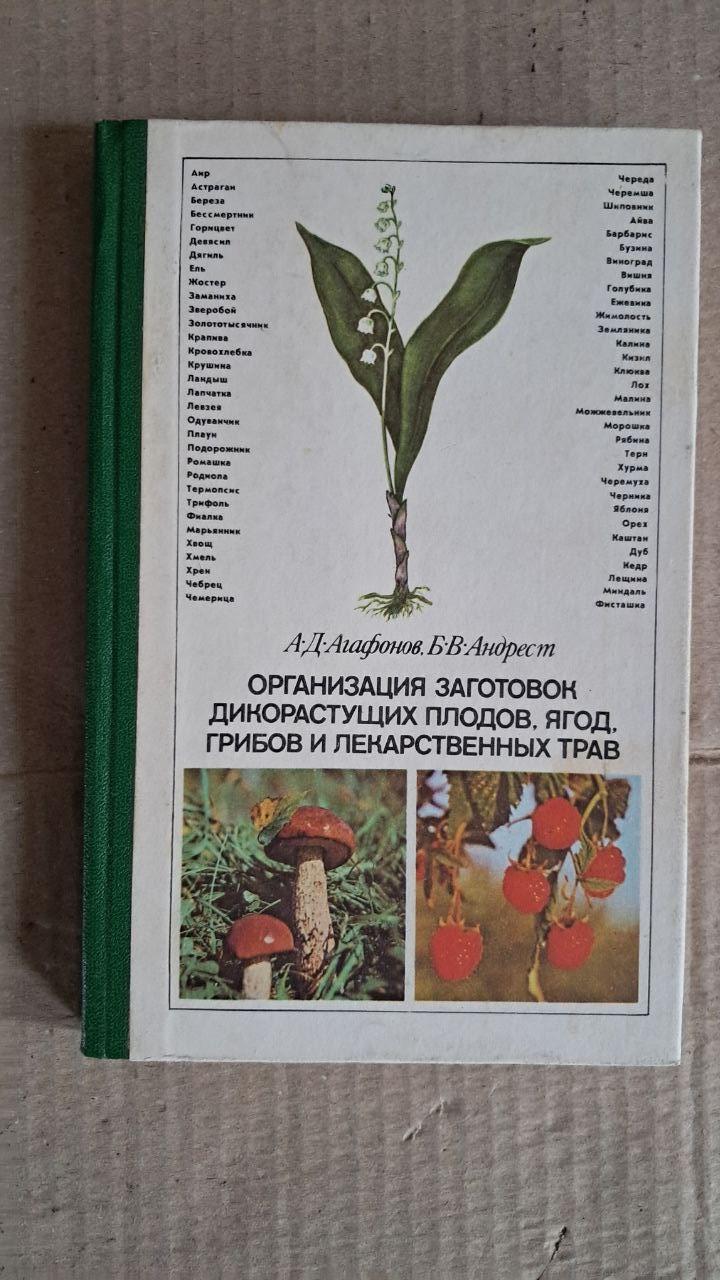 Організація заготівлі дикорослих фруктів, ягід, грибів і лікарських трав. А. Д. Дяченко. 1990