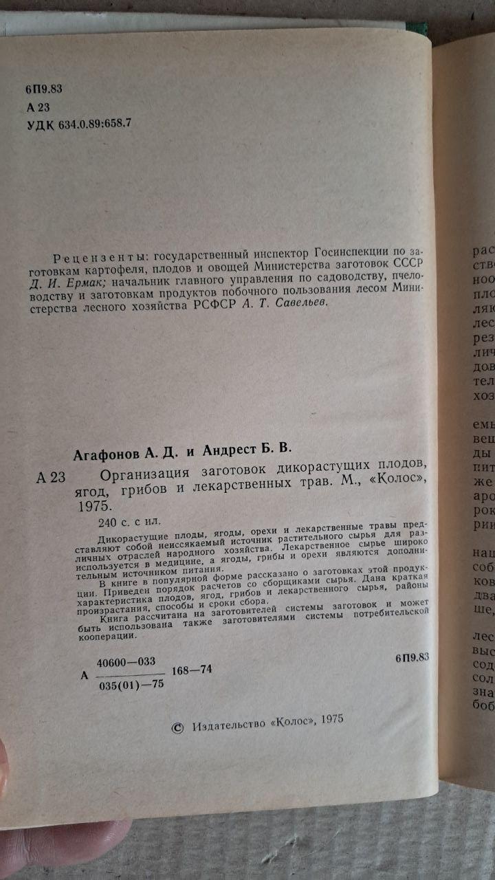 Організація заготівлі дикорослих фруктів, ягід, грибів і лікарських трав. А. Д. Дяченко. 1990 - Зображення 3